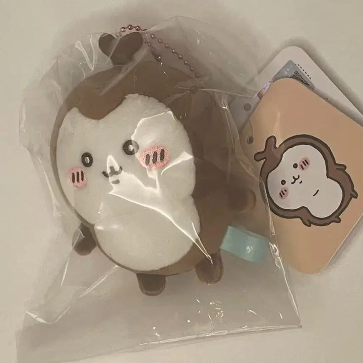 [BUNJANG] Chiikawa Beetle Mascot Doll / 치이카와 풍뎅이 마코