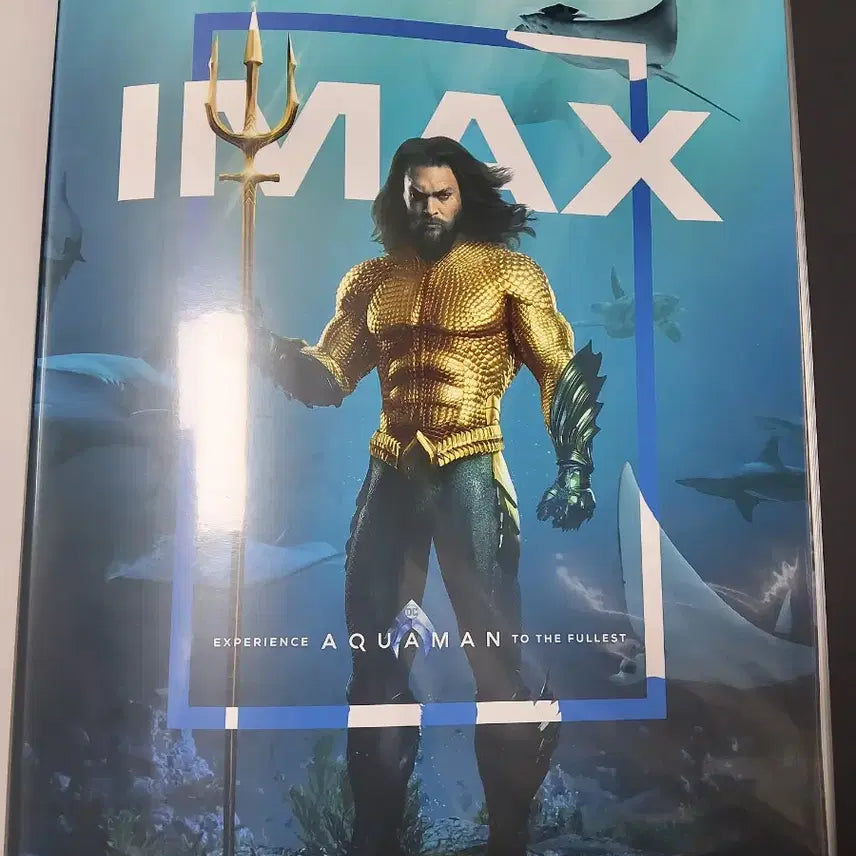 [BUNJANG] Aquaman IMAX Poster / 영화 <아쿠아맨> 아이맥스 포스터