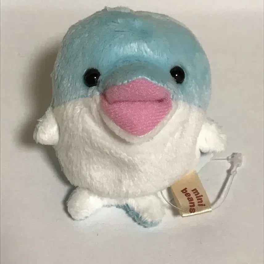 [BUNJANG] Mini Beans Dolphin / 미니빈즈 돌고래