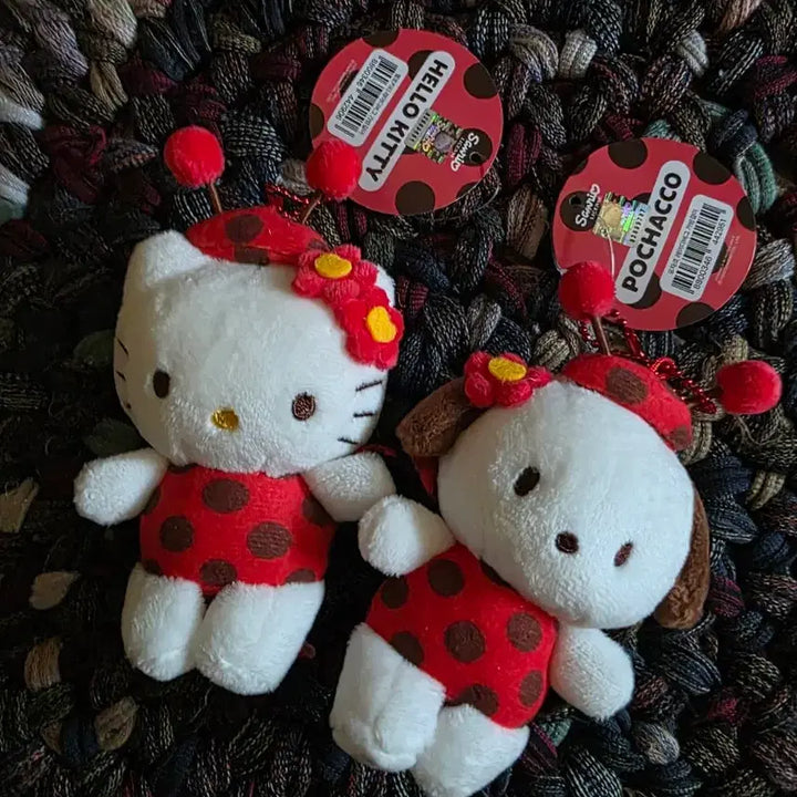 [BUNJANG] Kitty &amp; Pochacco Bundle Set / 일괄) 키티 &amp; 포챠코