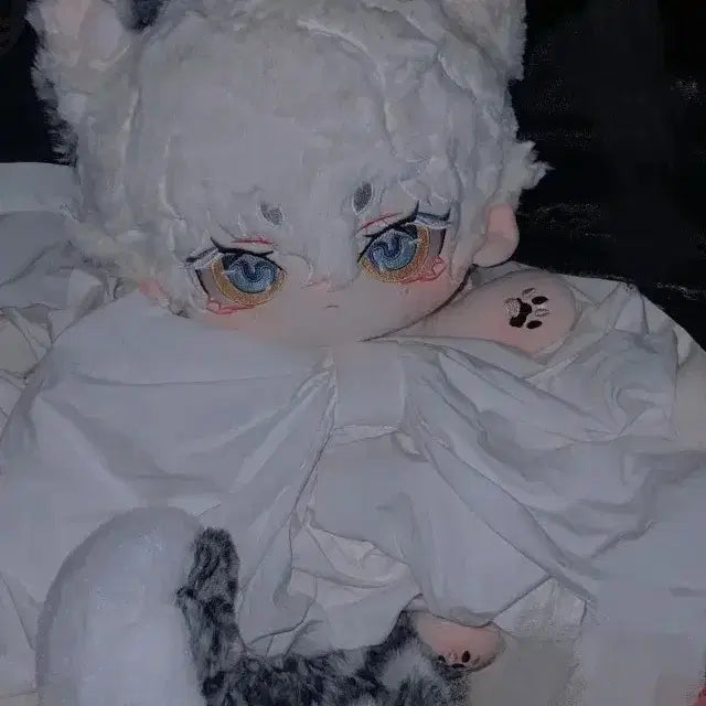 [BUNJANG] 40cm Non-Character Plush Doll (Seolpyo-som) / 무속성 솜인형 설표솜 40cm 지오없솜 양도 판매합니다