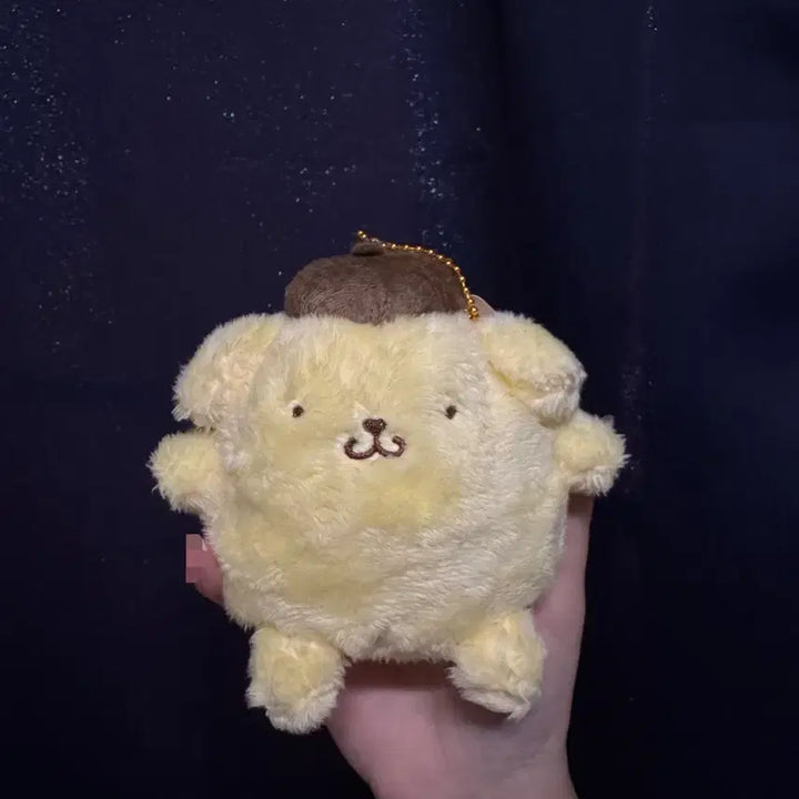 [BUNJANG] Long-Haired Pompompurin Plush / 장모 폼폼푸린 인형