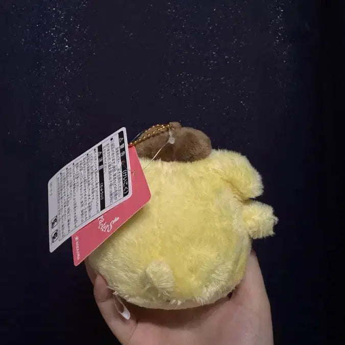 [BUNJANG] Long-Haired Pompompurin Plush / 장모 폼폼푸린 인형