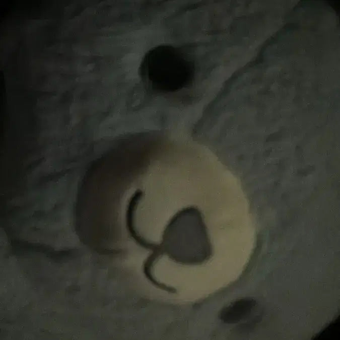 [BUNJANG] Park Ji Hoon Gray Rabbit Plush Toy / 박지훈 회끼 토끼 인형 회색