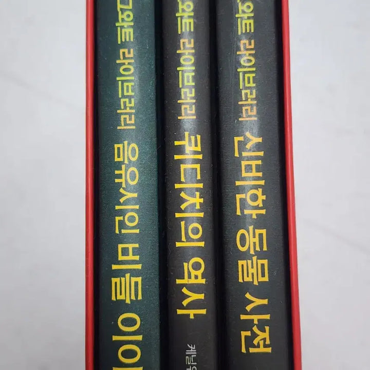 [BUNJANG] Hogwarts Library Doodle Version / 낙서버전 호그와트라이브러리