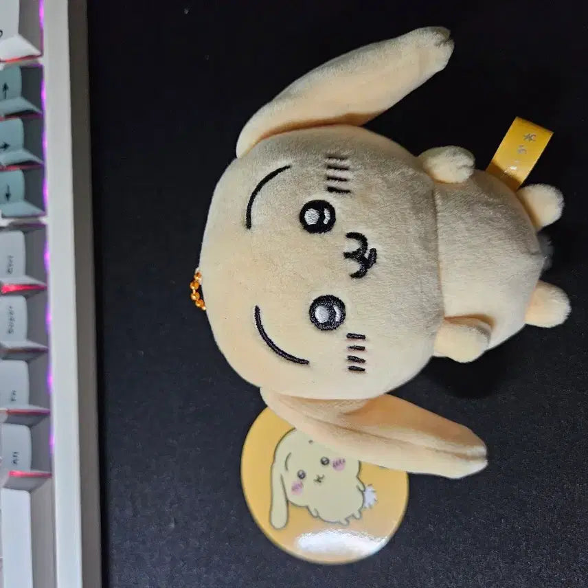 [BUNJANG] Rabbit Ear Hat / 롭이어 우사기