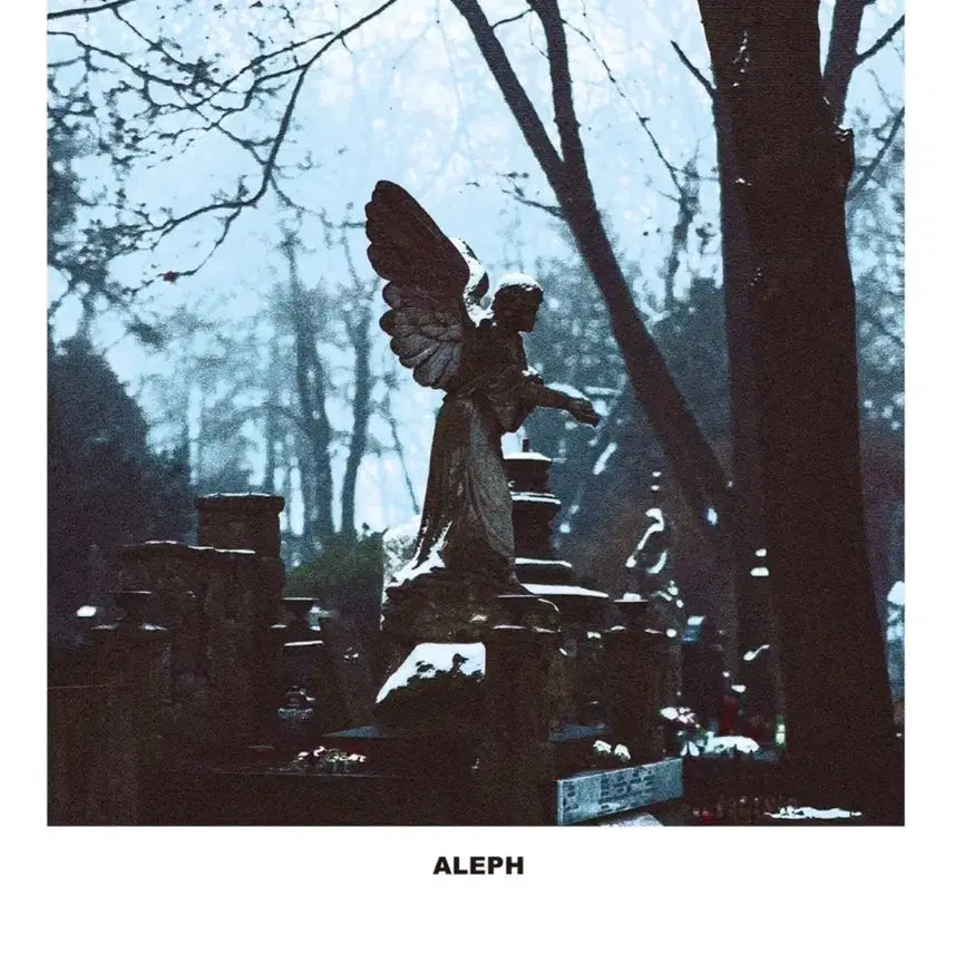 [BUNJANG] Aleph LP 3-Set Bundle (Sealed) / 알레프 LP 3종 일괄판매 (미개봉)