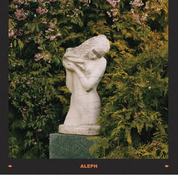 [BUNJANG] Aleph LP 3-Set Bundle (Sealed) / 알레프 LP 3종 일괄판매 (미개봉)
