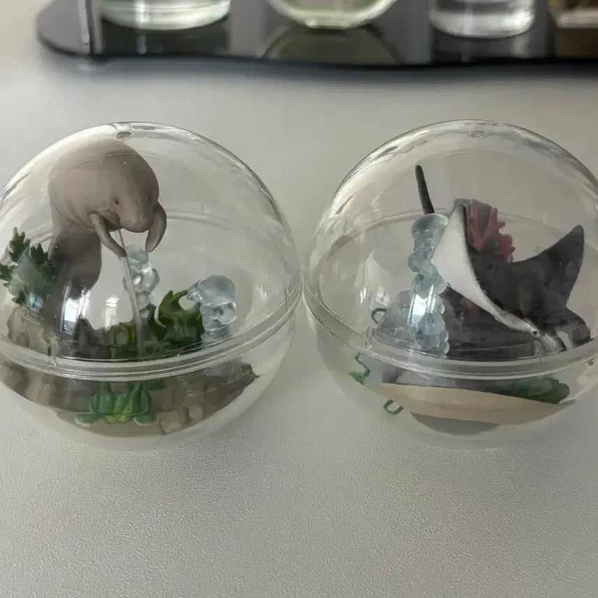 [BUNJANG] Marine Life Caprium Terrarium Figure Set (2 Types) / 해양생물 카프리움 테라리움 피규어 2종 세트