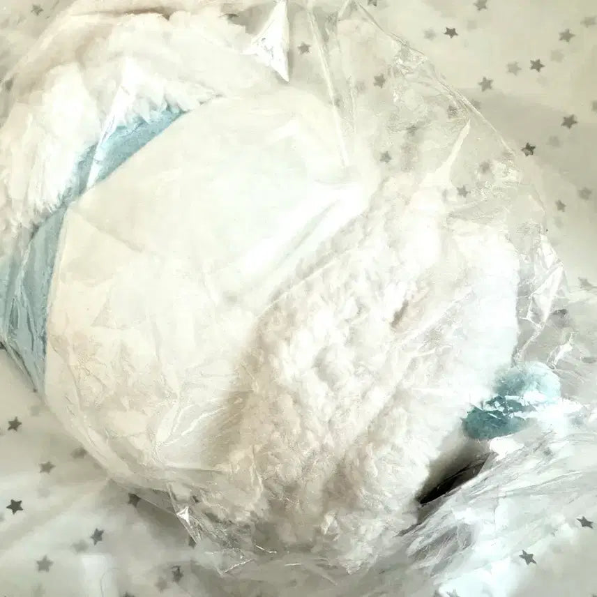 [BUNJANG] Chiikawa Hachiware "Present For You" Plush / 치이카와 프레젠트 포 유 하치와레 누이