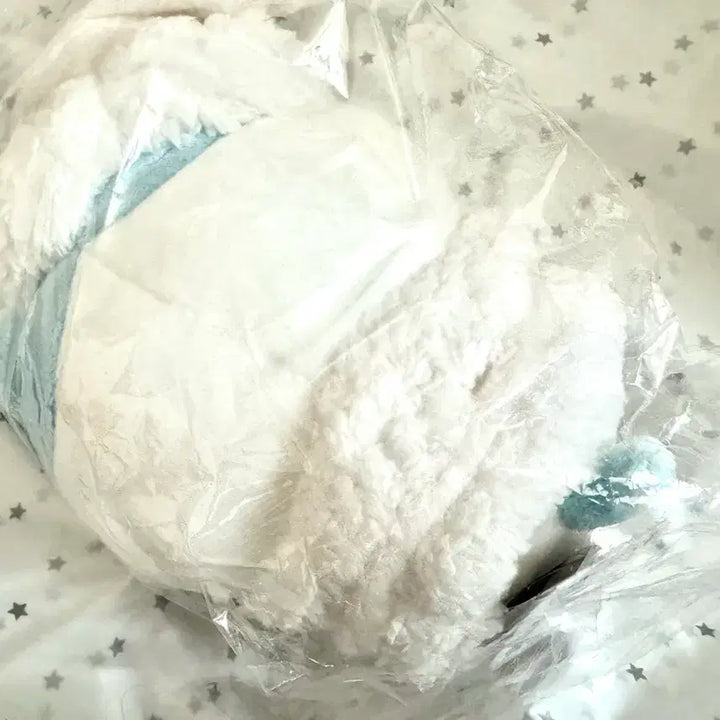 [BUNJANG] Chiikawa Hachiware "Present For You" Plush / 치이카와 프레젠트 포 유 하치와레 누이