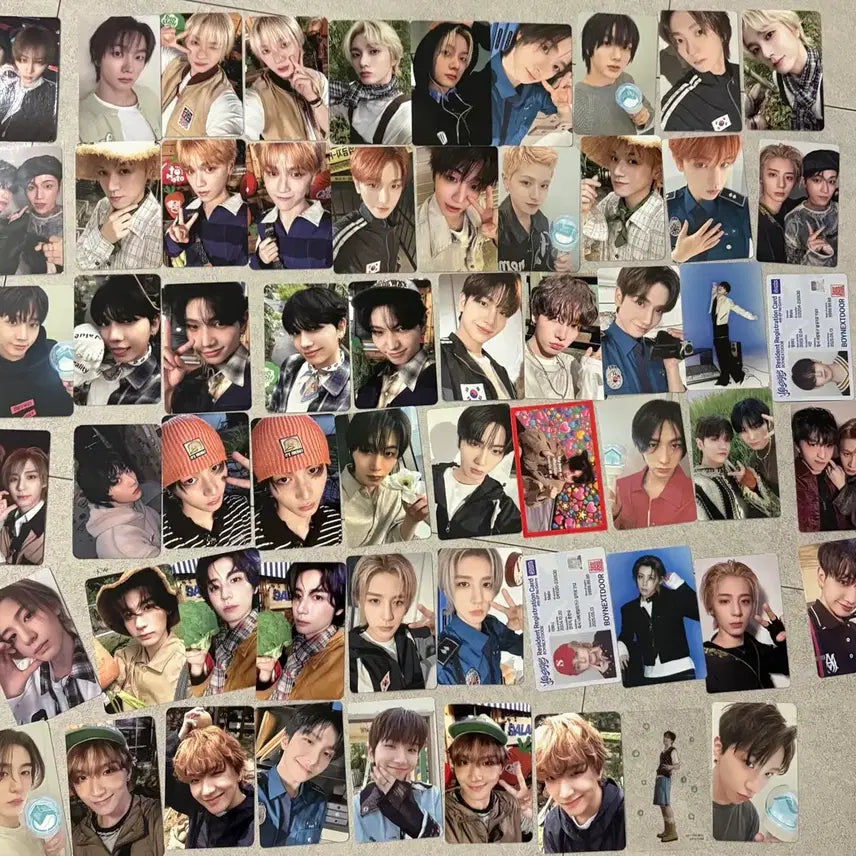 [BUNJANG] BOYNEXTDOOR Bundle Set Photocard 60 pcs / 보이넥스트도어 포토카드 일괄 60장!