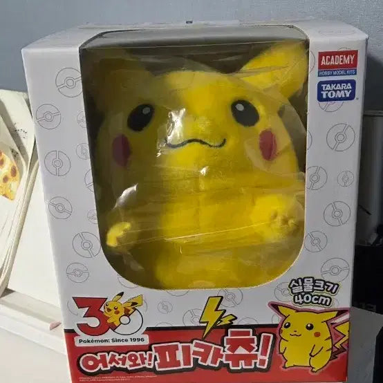 [BUNJANG] Pokemon Pikachu "Welcome Pikachu" Sealed Plush (40cm) / 어서와 피카츄 미개봉