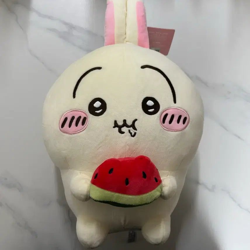 [BUNJANG] Chiikawa Watermelon Usagi Plush / 치이카와 수박 우사기 인형