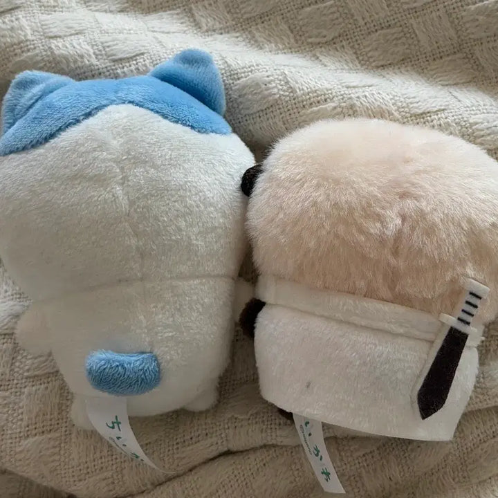 [BUNJANG] Chiikawa Hachiware Racco Sitting Plush Set / 치이카와 하치와레 랏코 앉은누이 일괄