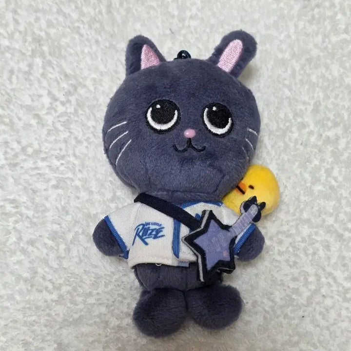 [BUNJANG] RIIZE Wonbin Pony Ducky Lyz Uniform Keychain / 라이즈 원빈 토냥덕 리라즈 유니폼 기타 키링