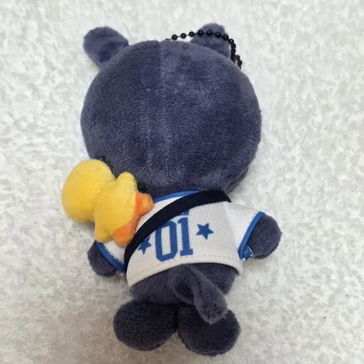 [BUNJANG] RIIZE Wonbin Pony Ducky Lyz Uniform Keychain / 라이즈 원빈 토냥덕 리라즈 유니폼 기타 키링