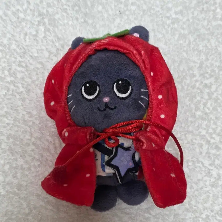 [BUNJANG] RIIZE Wonbin Pony Ducky Lyz Uniform Keychain / 라이즈 원빈 토냥덕 리라즈 유니폼 기타 키링