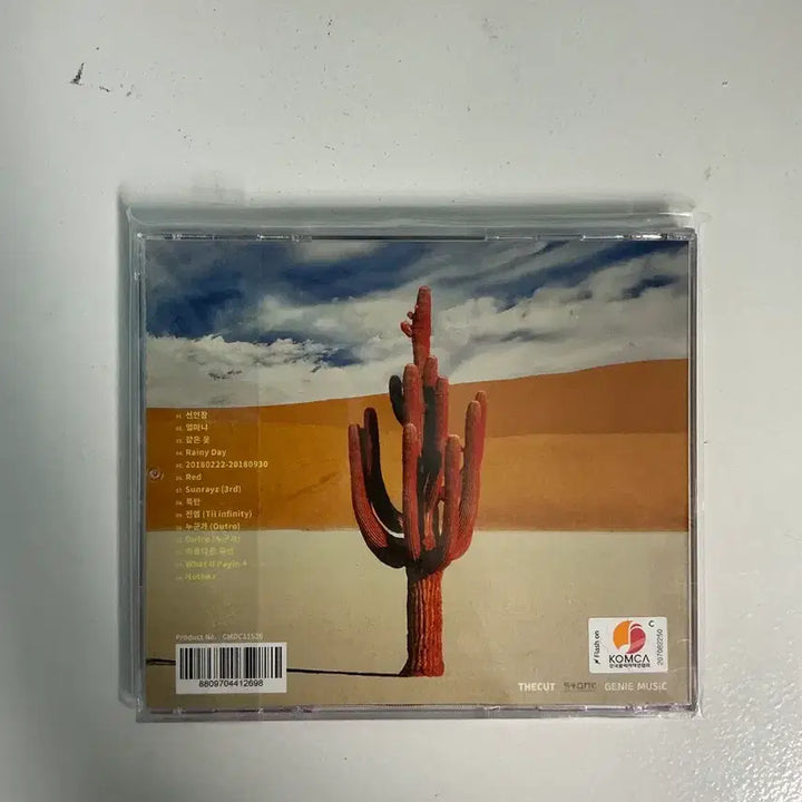 [BUNJANG] Dunmalik Cactus Flower CD / 던말릭 선인장화 cd