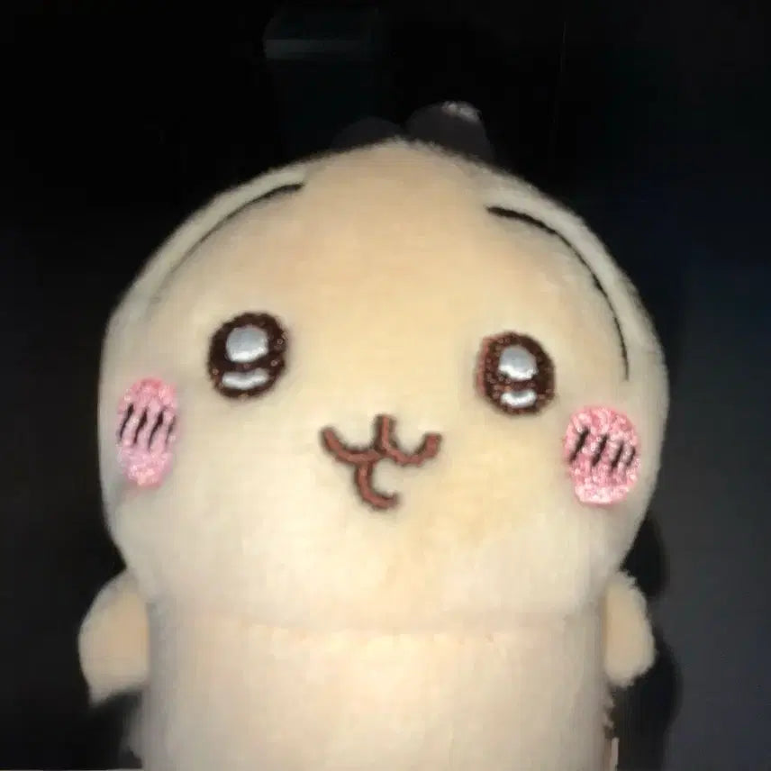 [BUNJANG] Chiikawa Usagi Seated Plush 3.0 / 치이카와 먼작귀 앉은누이 우사기 3.0에 팔아요