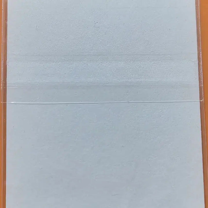 [BUNJANG] Charizard Pokemon Sticker (S5) / 포켓몬띠부씰 시즌5_리자몽