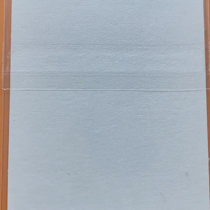 [BUNJANG] Pokemon Ticketing Sticker Season 2 - Dratini / 포켓몬띠부씰 시즌2_쏘드라