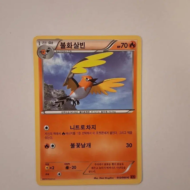 [BUNJANG] Pokemon Card 2014 Fire Arrow Bin / 포켓몬 카드  2014년 불화살빈
