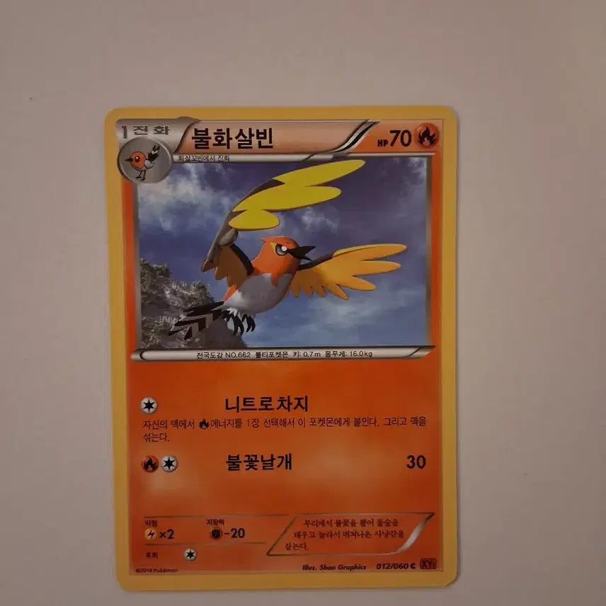 [BUNJANG] Pokemon Card 2014 Fire Arrow Bin / 포켓몬 카드  2014년 불화살빈