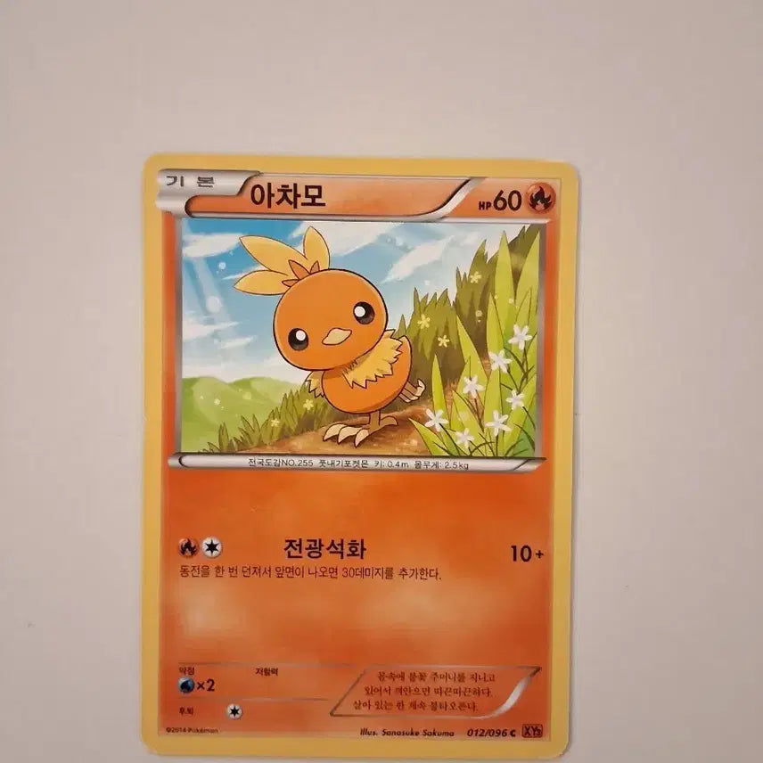 [BUNJANG] Pokemon Card 2014 Torchic 012/096 XY / 포켓몬카드 2014년 아차모 012/096 XY