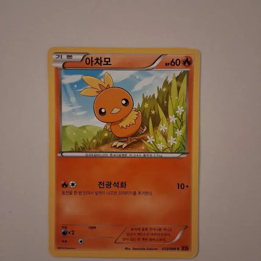 [BUNJANG] Pokemon Card 2014 Torchic 012/096 XY / 포켓몬카드 2014년 아차모 012/096 XY