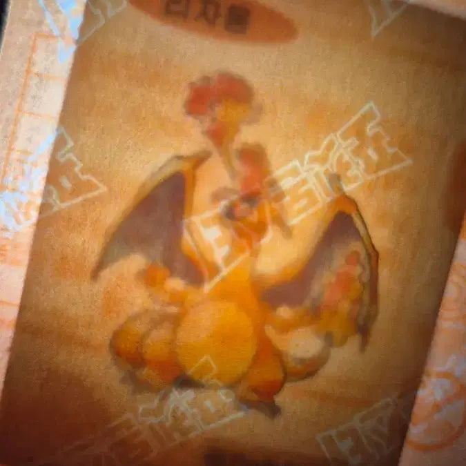 [BUNJANG] Pokemon Artwork Sticker Seal Charmander / 포켓몬 아트워크 띠부씰 리자몽