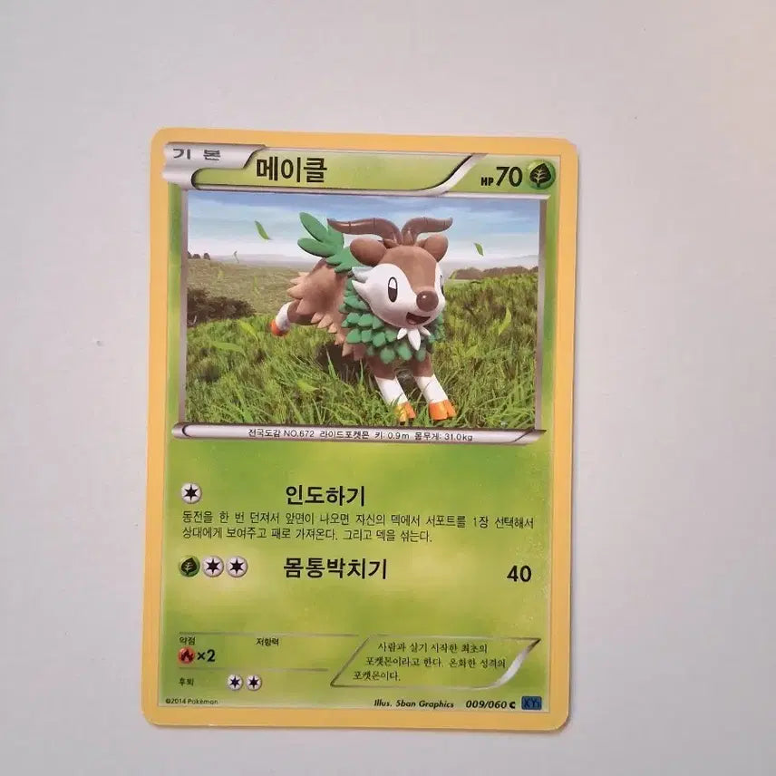 [BUNJANG] Pokemon Card 2014 Makele Card / 포켓몬 카드  2014년 메이클 카드