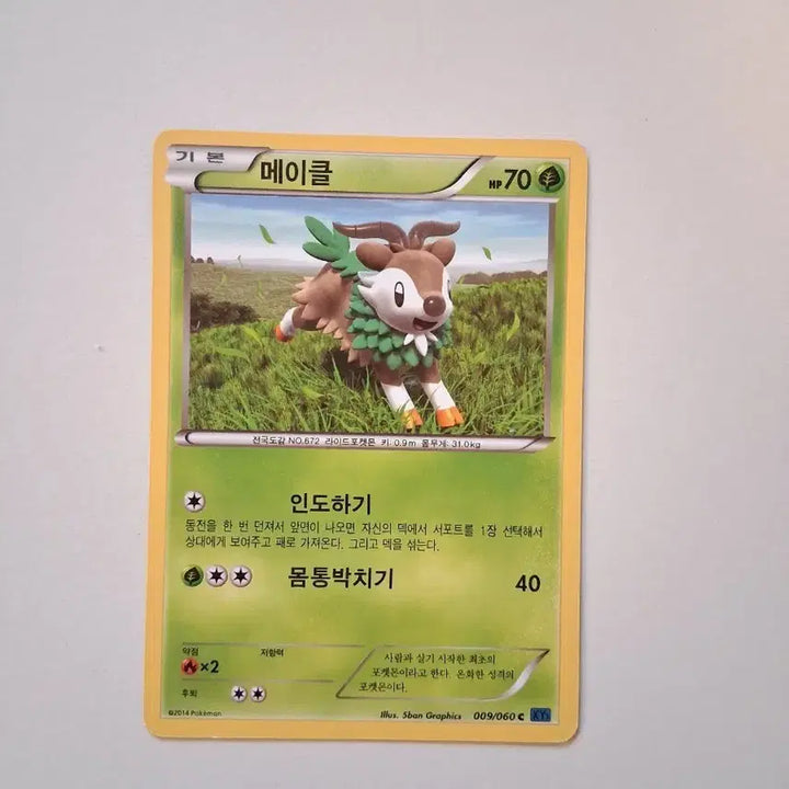 [BUNJANG] Pokemon Card 2014 Makele Card / 포켓몬 카드  2014년 메이클 카드
