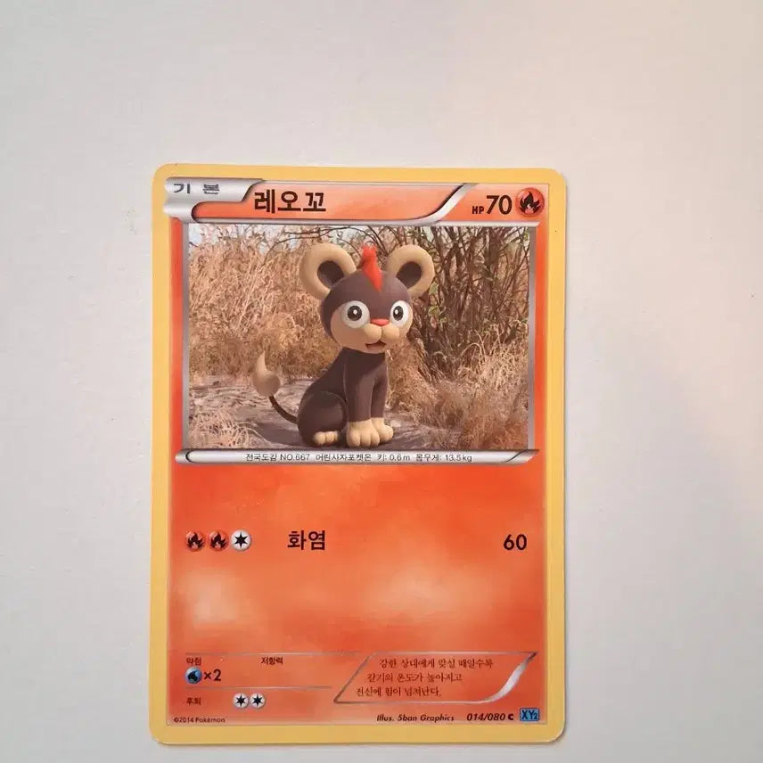 [BUNJANG] Pokemon Card Leocho Basic 70/60 (2014) / 포켓몬카드  2014년 레오꼬 기본 70/60