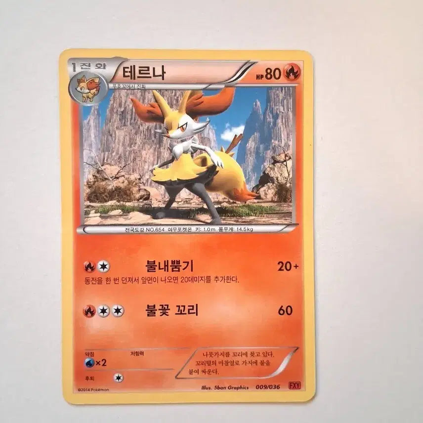 [BUNJANG] Pokemon Card Terna 009/036 (2014) / 포켓몬 카드  2014년 테르나 009/036