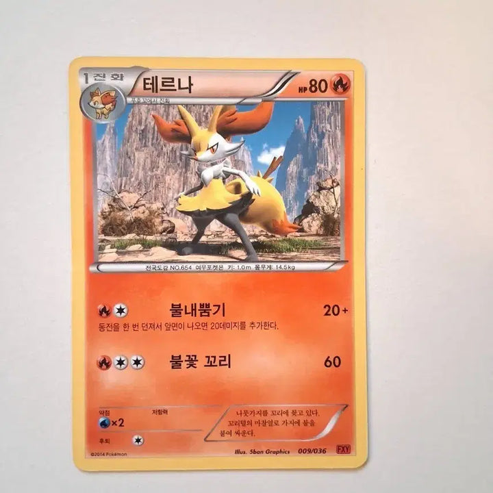 [BUNJANG] Pokemon Card Terna 009/036 (2014) / 포켓몬 카드  2014년 테르나 009/036