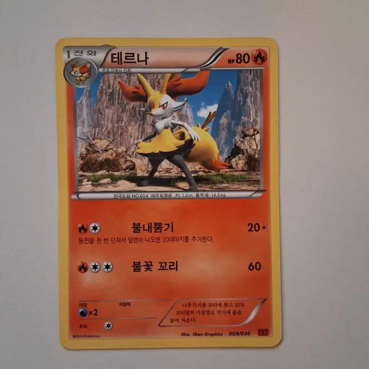 [BUNJANG] Pokemon Card Terna 009/036 (2014) / 포켓몬 카드  2014년 테르나 009/036