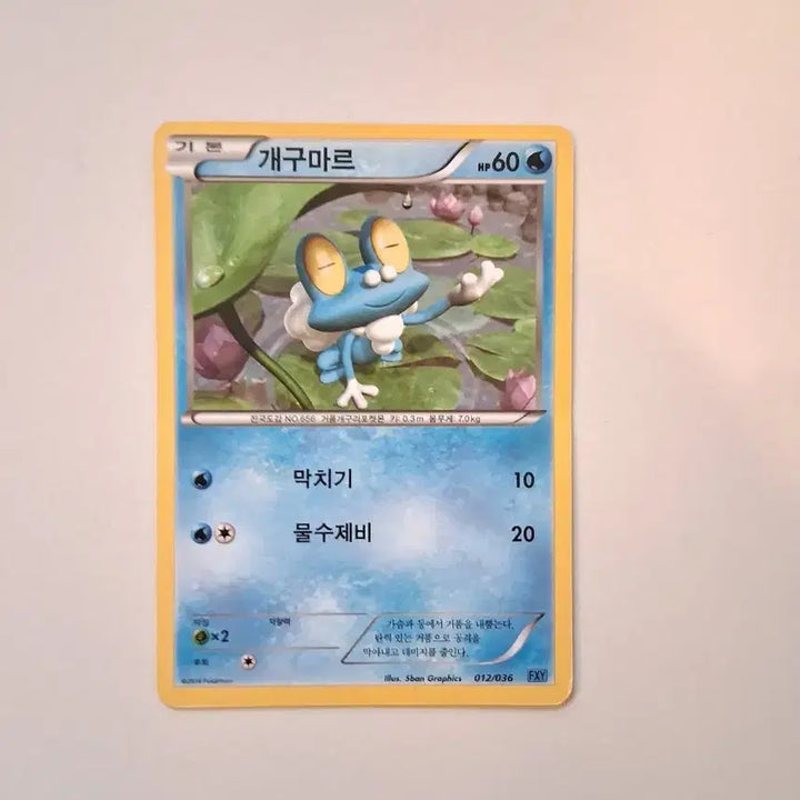 [BUNJANG] Pokemon Card - 2014 Mudkip / 포켓몬 카드  2014년 개구마르