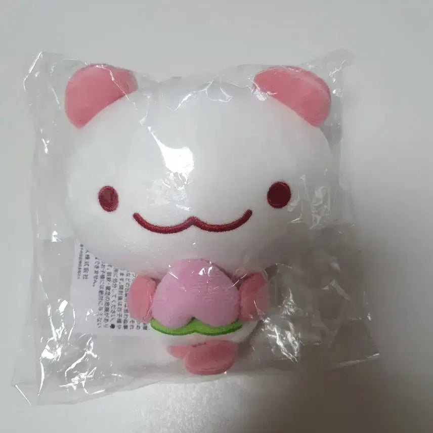 [BUNJANG] Momo Panda Plush / 모모판다 인형