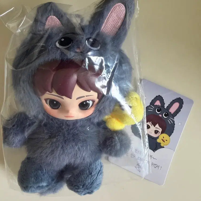 [BUNJANG] RIIZE Pop Mart Wonbin Toy Cat Duck / 라이즈 팝마트 토냥덕 원빈