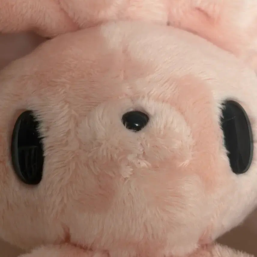 [BUNJANG] Round1 Universal Rabbit Plush / 라운드원 범용토끼 판매