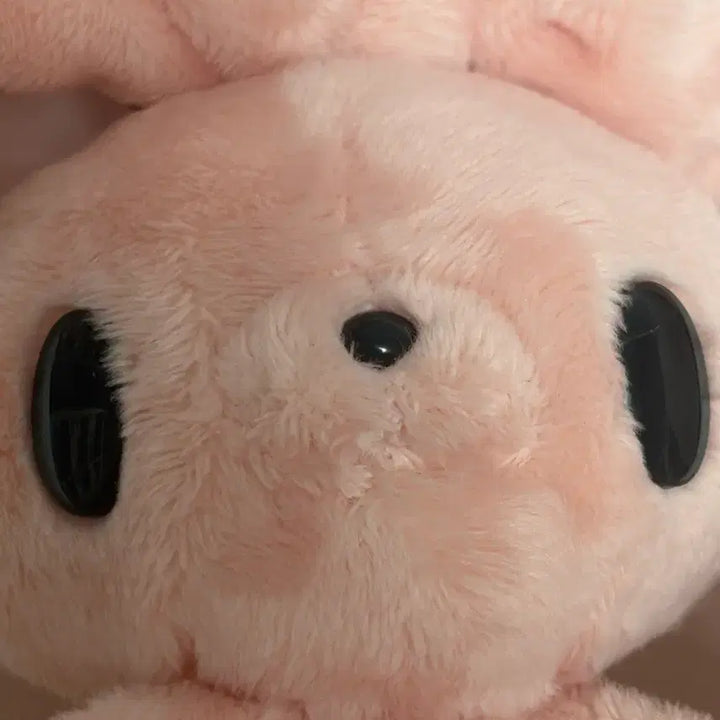 [BUNJANG] Round1 Universal Rabbit Plush / 라운드원 범용토끼 판매