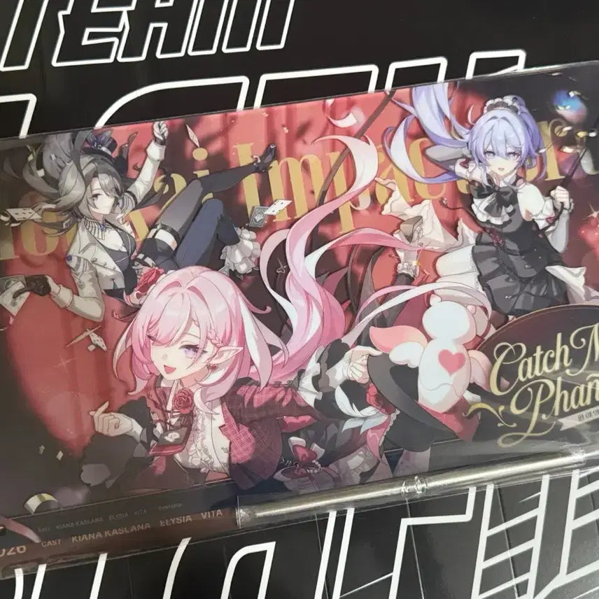 [BUNJANG] HoYoverse Honkai Impact 3rd Acrylic Frame Panel (Sealed) / 미개봉 호요랜드 붕괴3rd 아크릴 액자 패널 판매