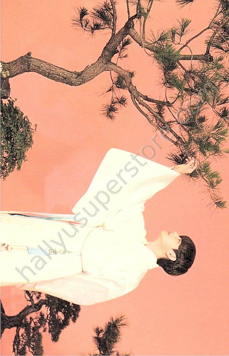 BTS - V - Dalmajung 2021 41/56 mini photocard