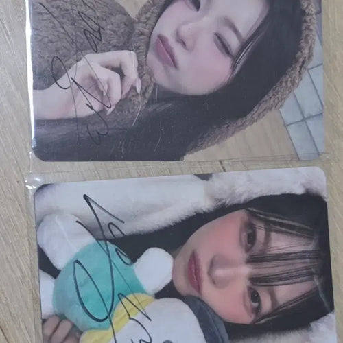 [BUNJANG] Baek Ji Heon Pochacco Signed Photocard / 백지헌 포차코 곰돌이 싸인포카 양도합니다
