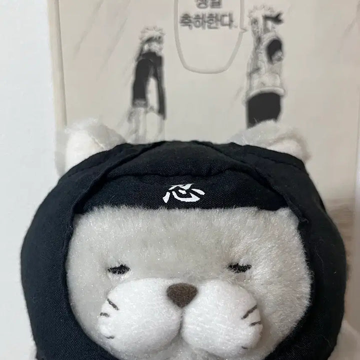 [BUNJANG] Ninja Cat Plush Toy / 닌자고양이..? 인형 팝니다