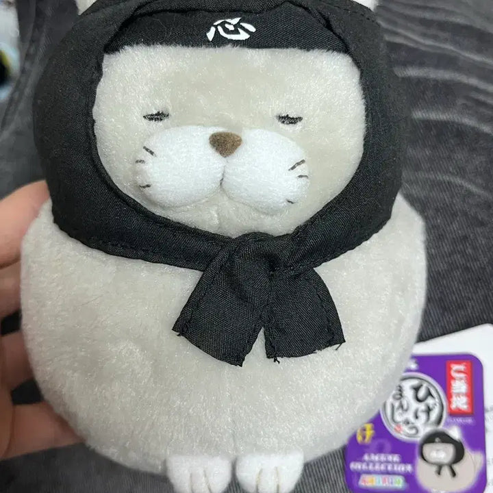 [BUNJANG] Ninja Cat Plush Toy / 닌자고양이..? 인형 팝니다