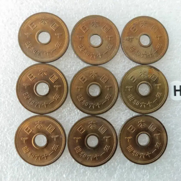[BUNJANG] Japanese 5 Yen Coin Bundle (9 Types) / 일본국 5엔 동전 (9종) 일괄