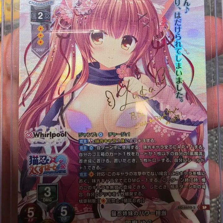 [BUNJANG] Rise 20th Anniversary SP Card Bundle Set / 리세 20주년 sp 카드 3장 일괄