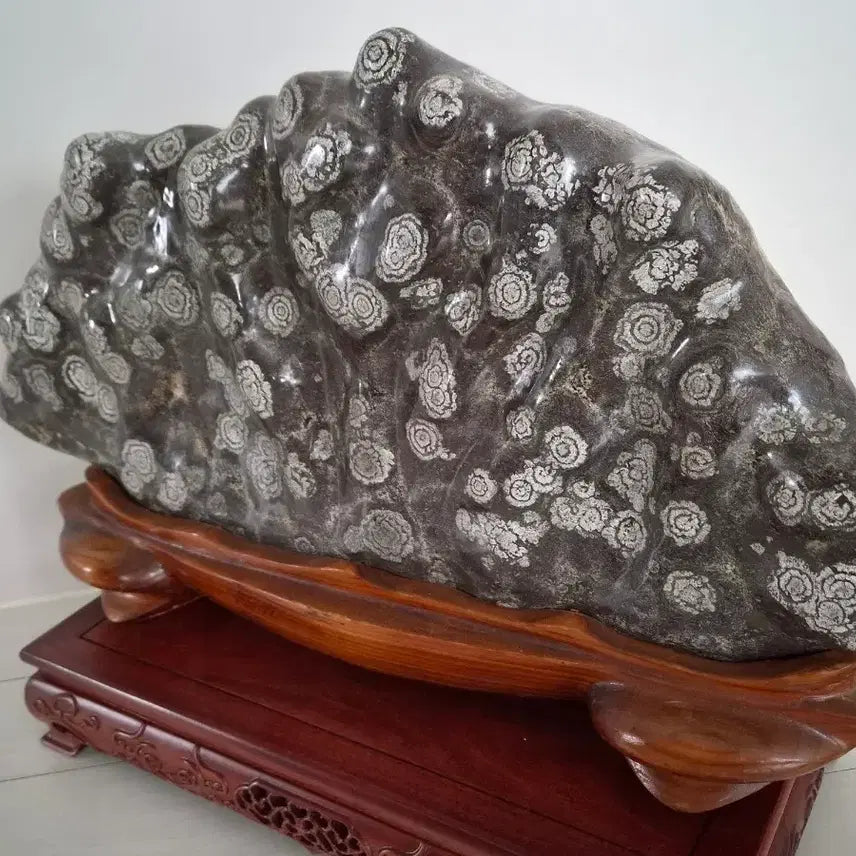 [BUNJANG] Cheongsong Flower Stone Display Pedestal / 수석  청송꽃돌